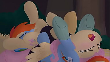 MLP - Clop - Rainbow Licks Fluttershy by HtPot (HD)